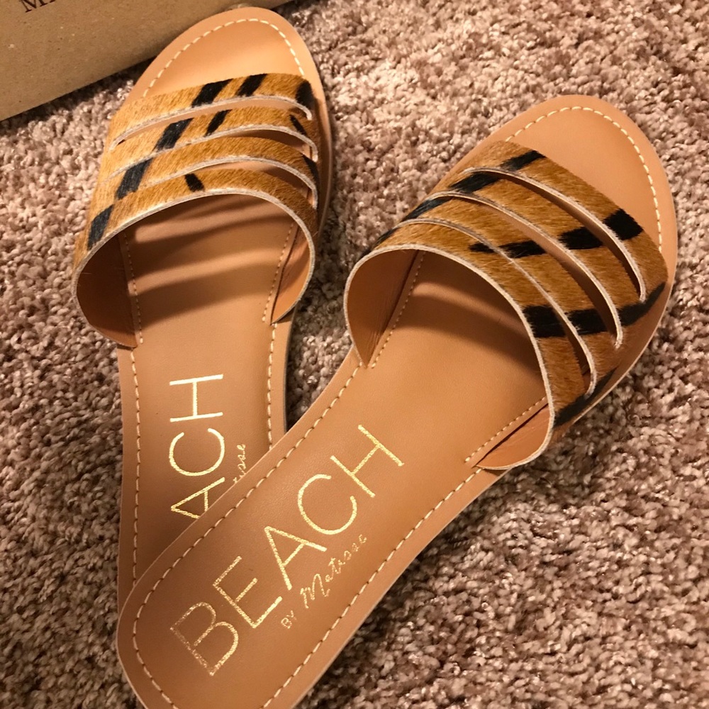 Matisse Slides